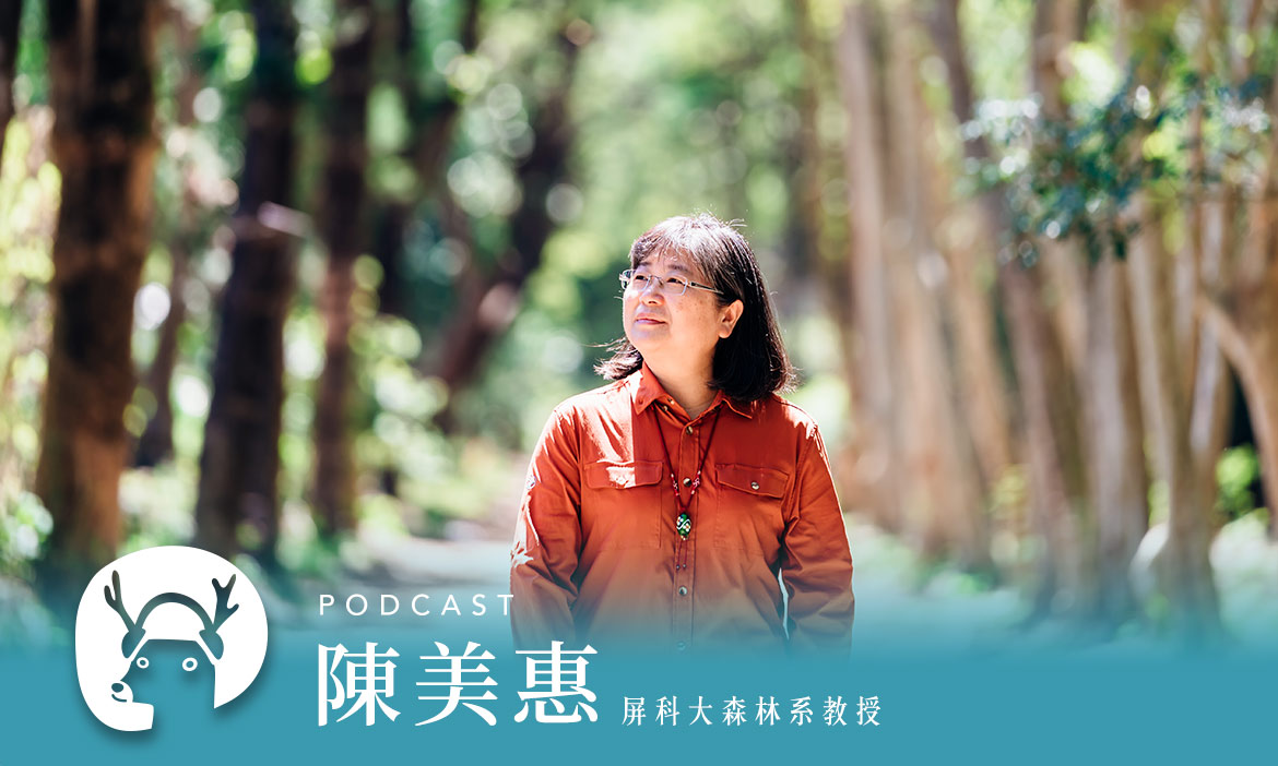 逛完墾丁大街，別急著回飯店！在地人帶你夜遊森林、看「鬼火」　專訪屏科大教授陳美惠｜微笑款款聽Podcast Ep.19