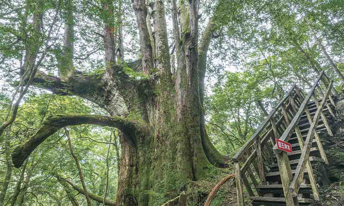 深入竹縣絕美山景 來場自然療癒的旅程