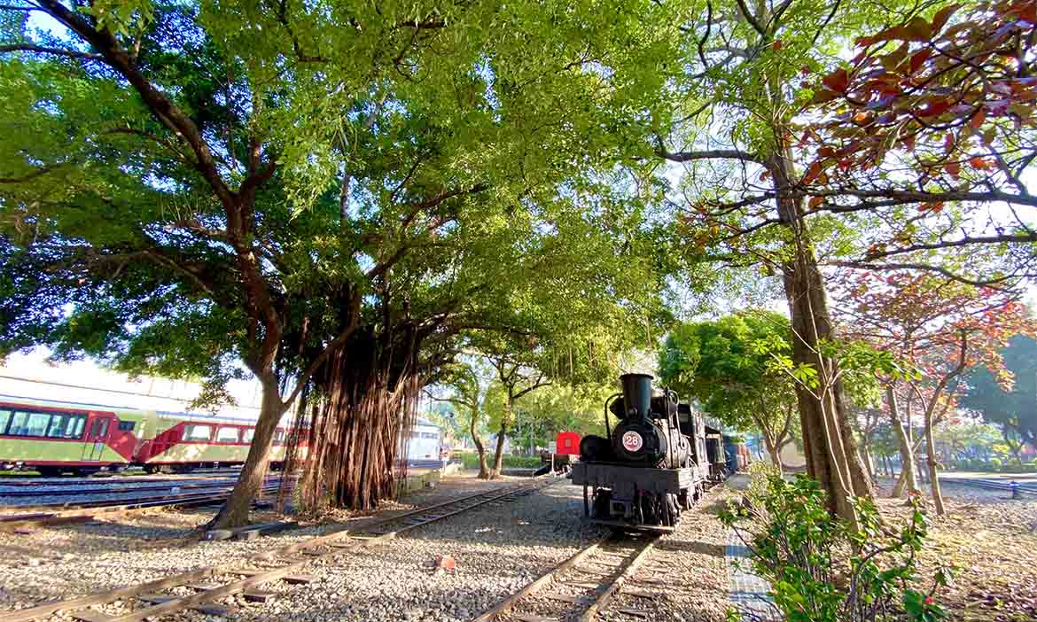走過百年風華 阿里山林鐵（上）：搭小火車從北門到水社寮，聆聽在地輝煌記憶