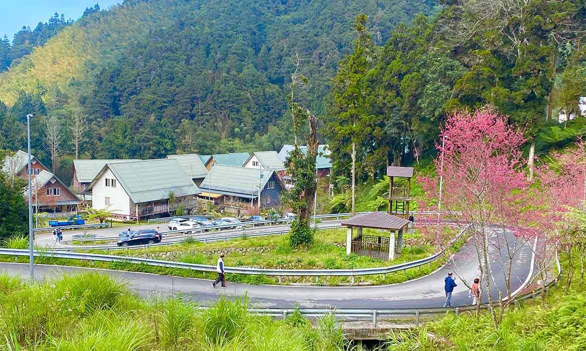 走過百年風華 阿里山林鐵（下）：來奮起湖不只吃便當，再到多林、十字路看出塵美景