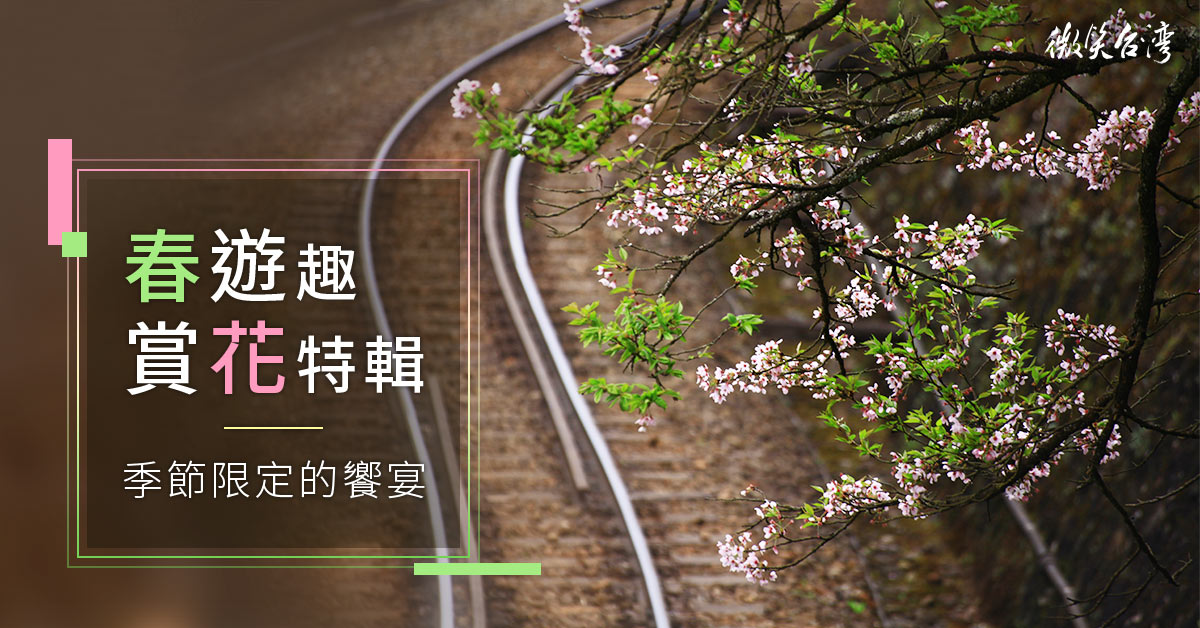 春遊賞花路線總整理，現在就出發！