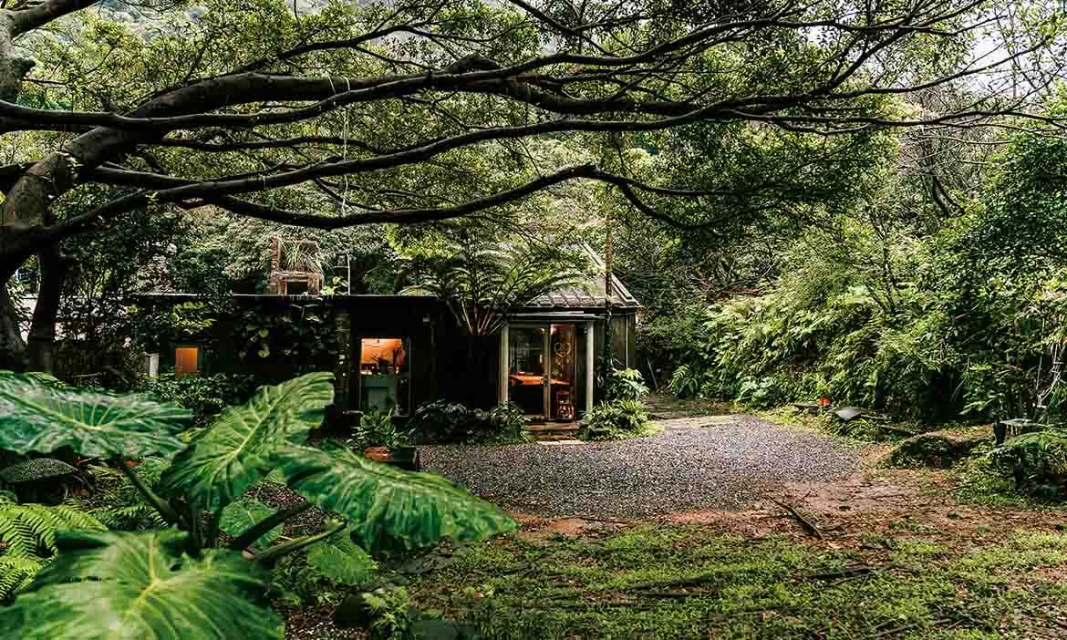 新北金山特色住宿，在三棵老榕樹下住一晚，到山坡地露營體驗騎馬看海日常