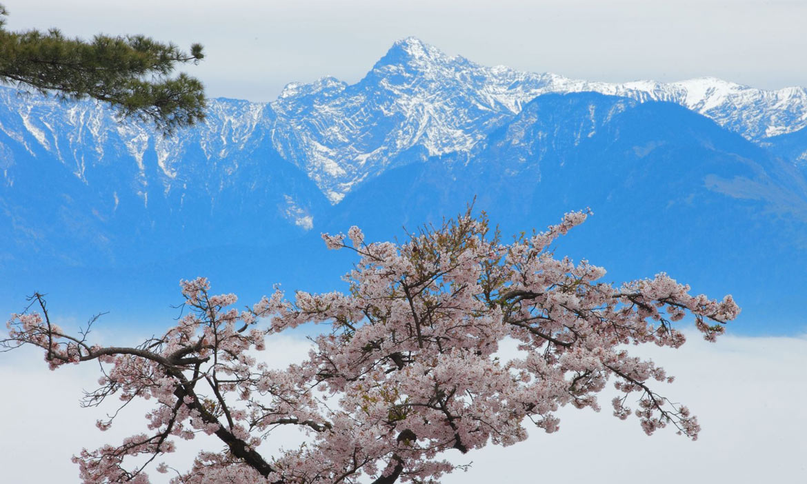 阿里山達人黃源明 漫步雲端超過35年，數百萬張照片只為記錄不一樣的阿里山之美