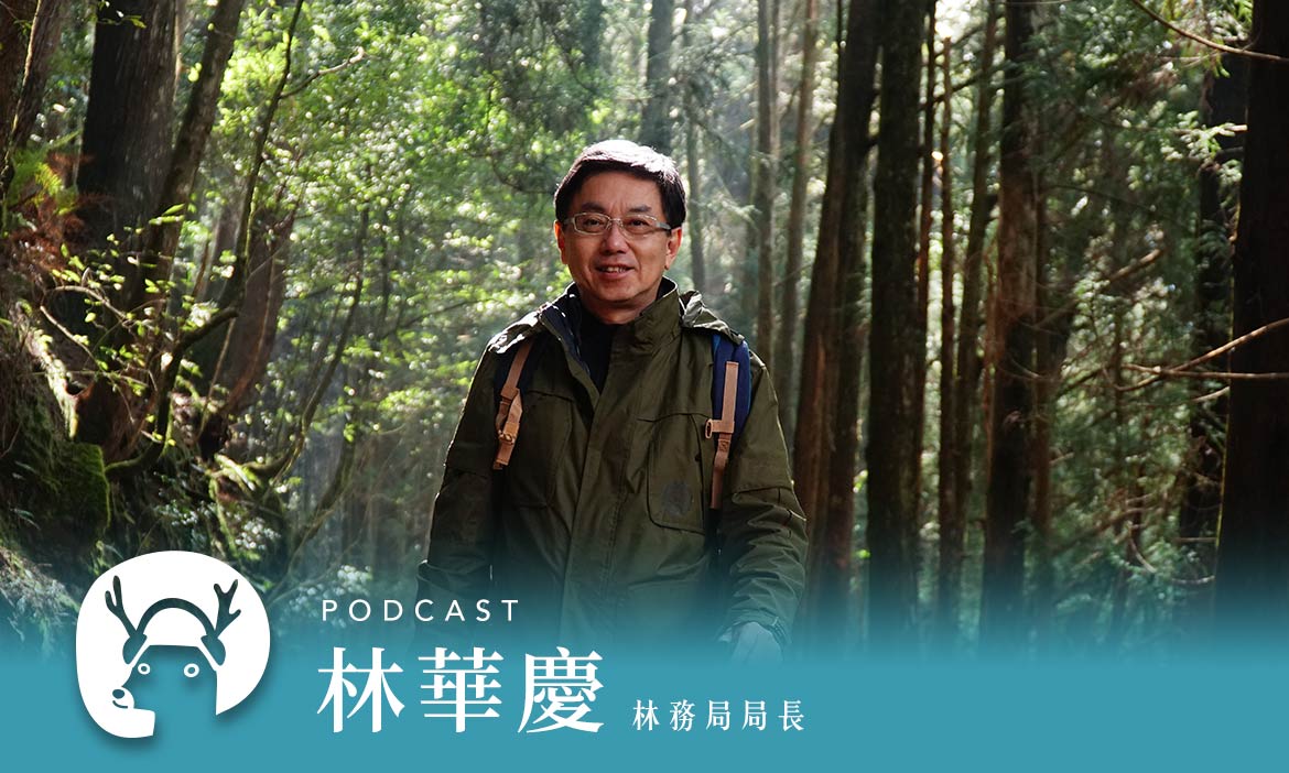 苔蘚像地毯一樣厚軟　走入全台灣最安靜的步道，讓森林療癒你｜微笑款款聽Podcast Ep.1