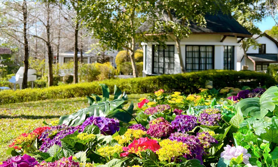 台中輕旅行｜春日最美繡球花莊園，感受心之芳庭百花盛開的繽紛