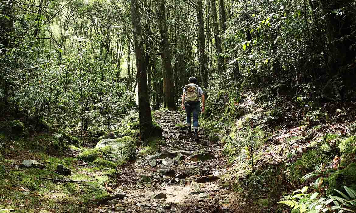 做好準備出發走踏山林，登山相關肌群訓練、傷膝蓋爬山習慣、熱門路線撤退安排一次了解