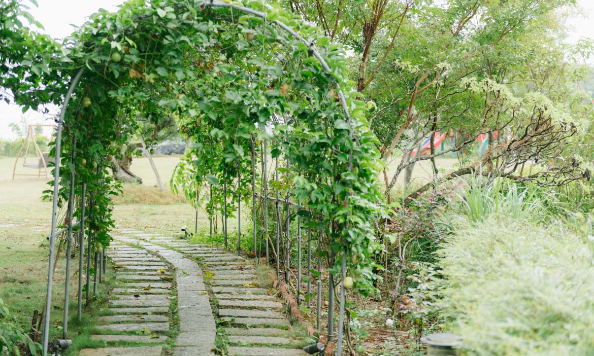 宜蘭頭城「蜻蜓石有機生態農場」，走進昆蟲教授的理想家園，體驗無敵美景田園生活