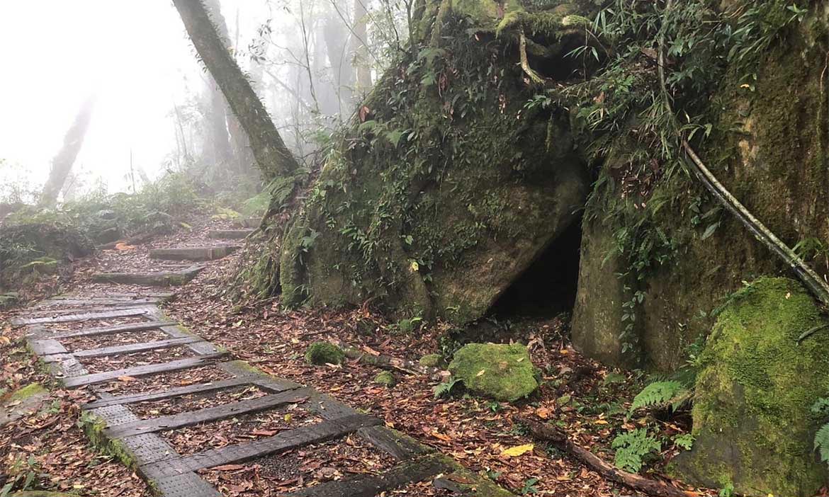 阿里山「頂湖六連峰」一日縱走，置身原始山林之中，感受豐富生態自然療癒力