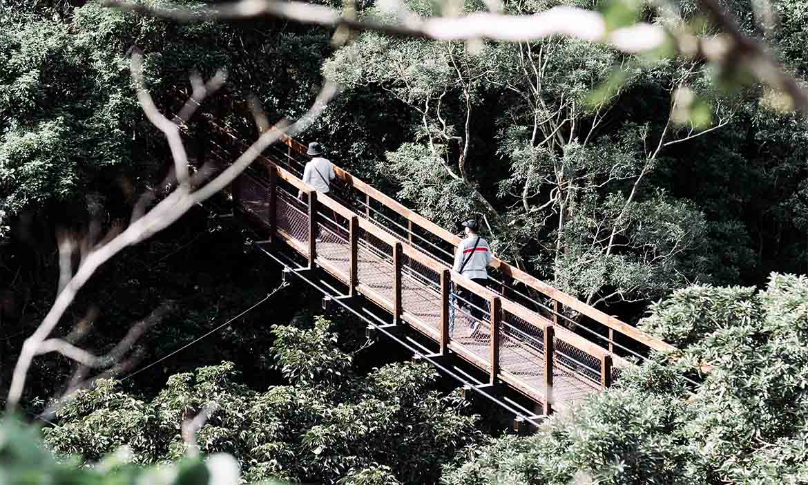 走入山徑窺看恆春半島山林面貌，從輕鬆出遊到登山縱走，探索群山魅力美景