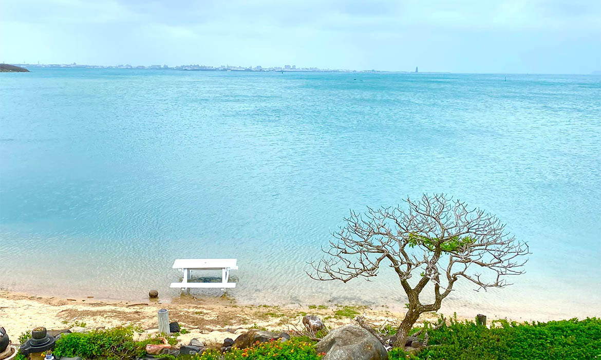 澎湖白沙寧靜聚落的美味與愜意，海邊民宿坐望潮來潮往，看見在地熱情美好