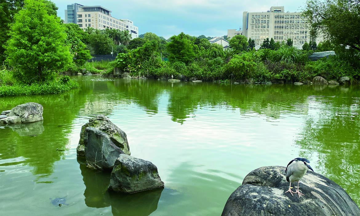 專家帶路探訪台北親水空間，從溪畔步道到公園水塘，在都市找回親水體驗