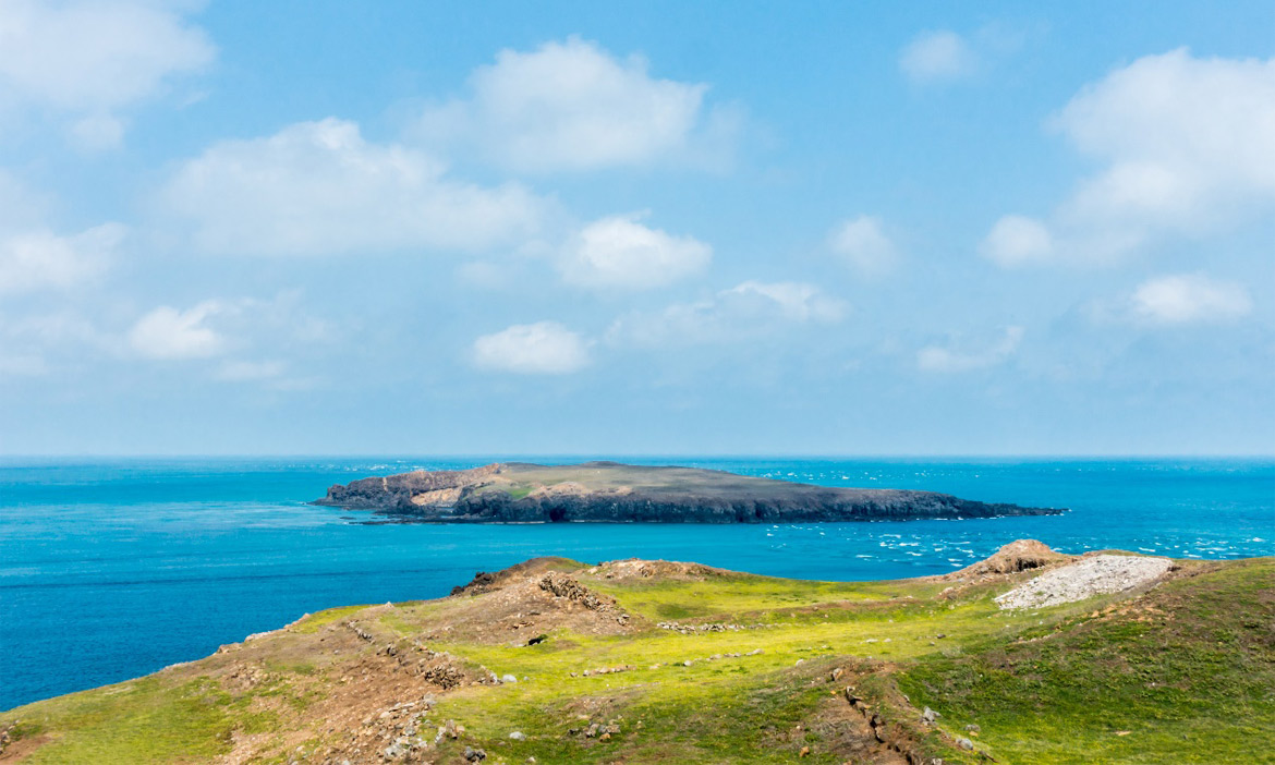 期間限定島嶼風光，登上澎湖南方四島的東吉嶼，漫步小羊牧場般風景裡