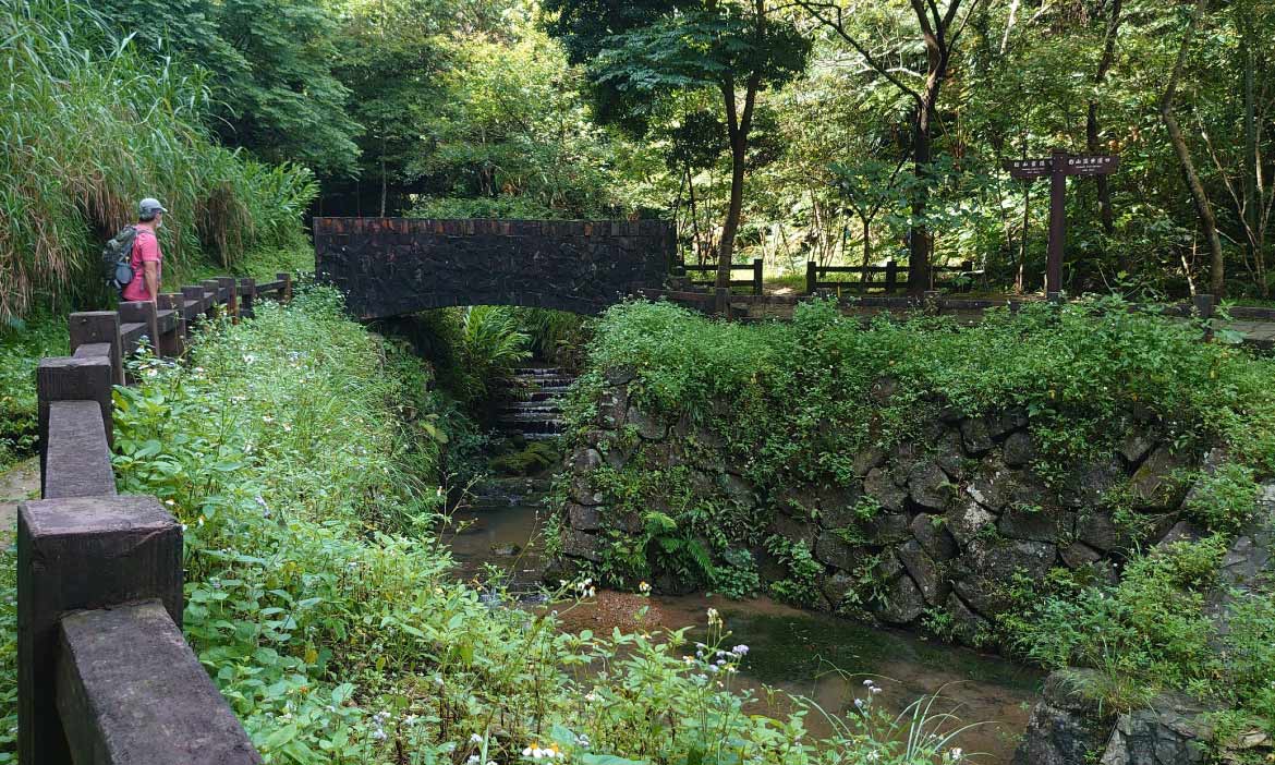 台北大縱走步道生態導覽 遊走四獸名山間，踏上清涼降暑之旅