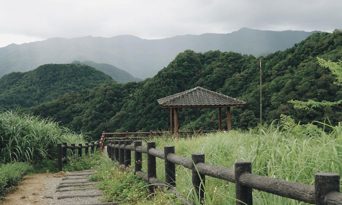 夏日茶鄉半日遊，新北坪林雲海茶園秘境，在群山環繞中感受遺世小店的慵懶療癒