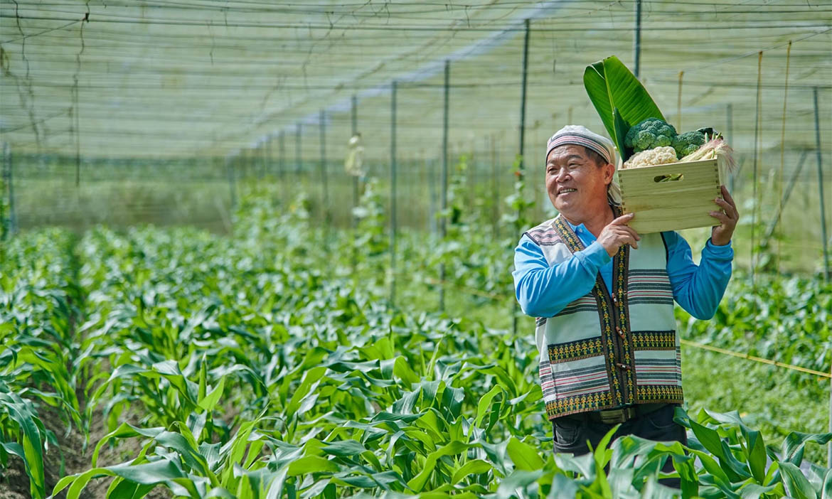 來自東部的風土好食，「宜花東原鄉市集」新北登場，夏日週末帶你認識部落農產