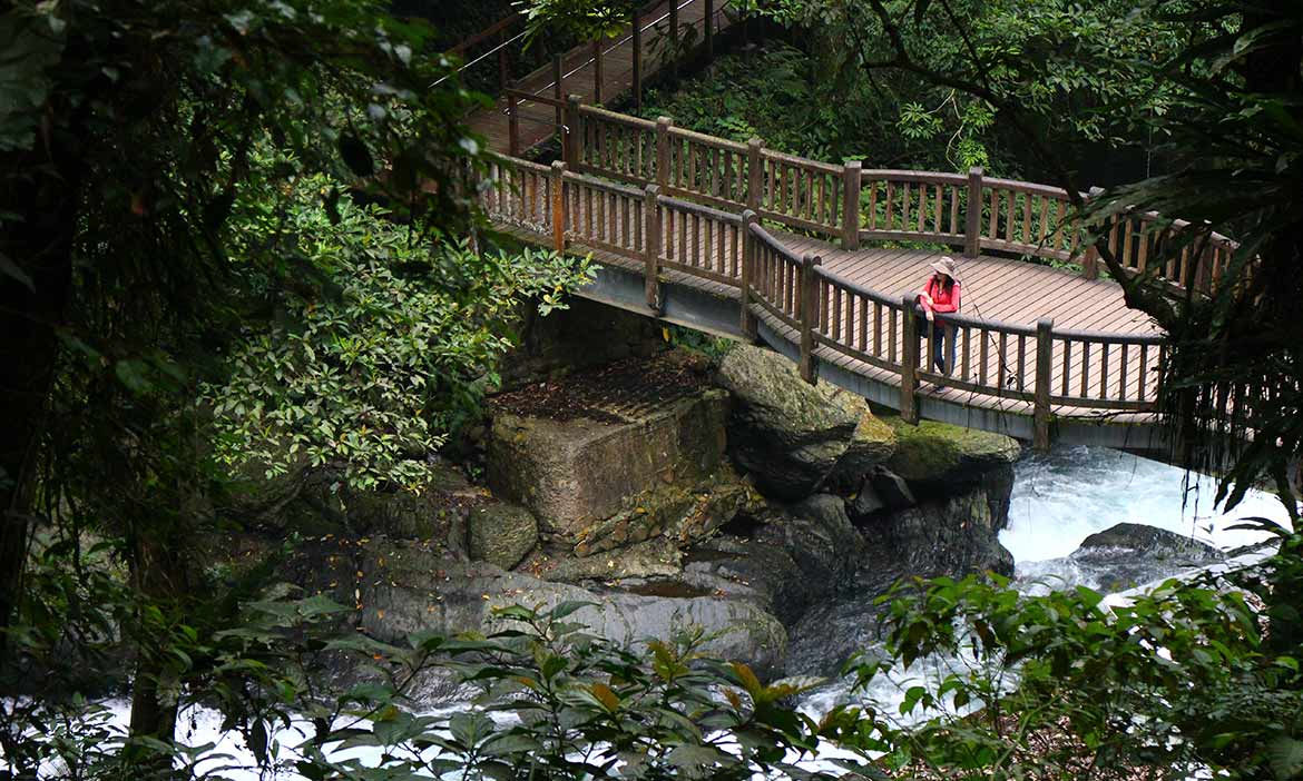 新北避暑步道｜8條山林瀑布推薦，出發夏日消暑勝地