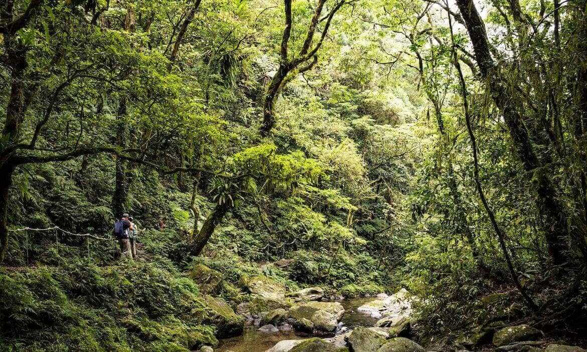 新北避暑步道｜超過10條山林消暑推薦，溪水、瀑布、多遮蔭，躲進沁涼之地涼一下