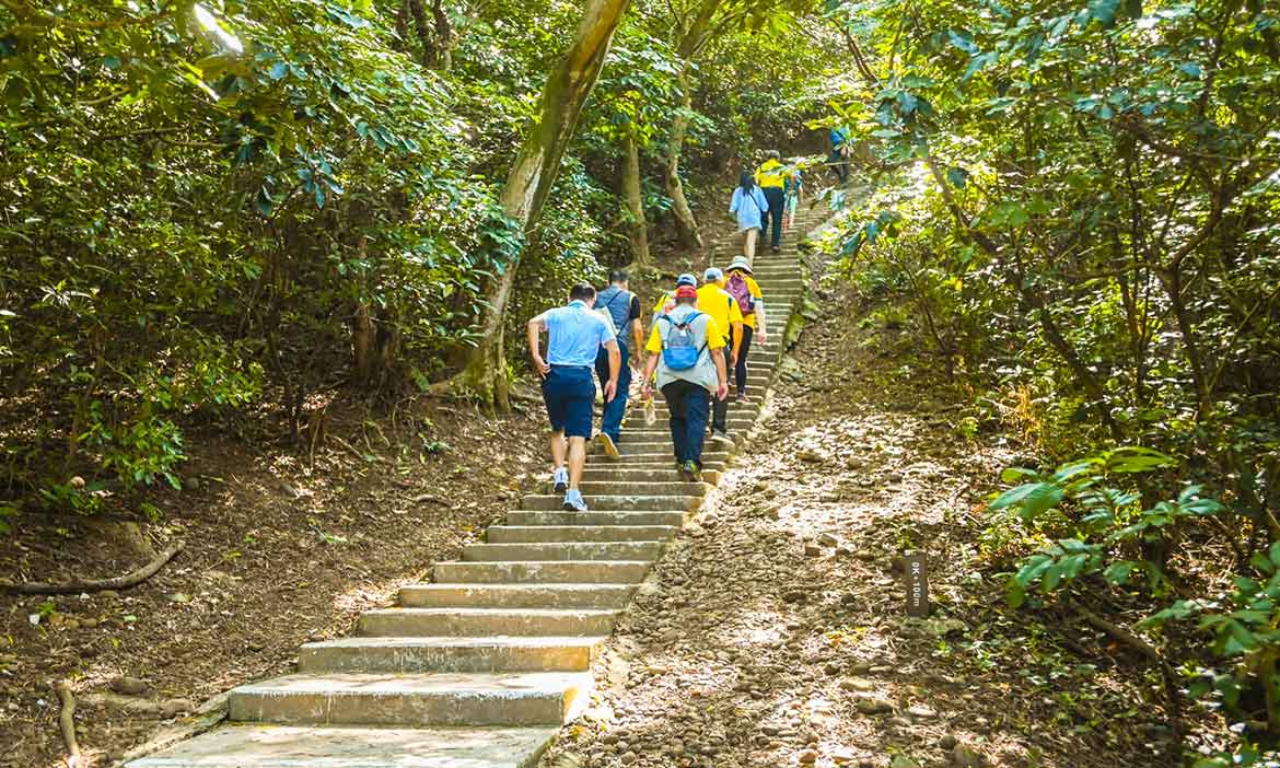 桃園蘆竹五酒桶山啟用手作步道，悠遊「自然野徑」的森林芬多精