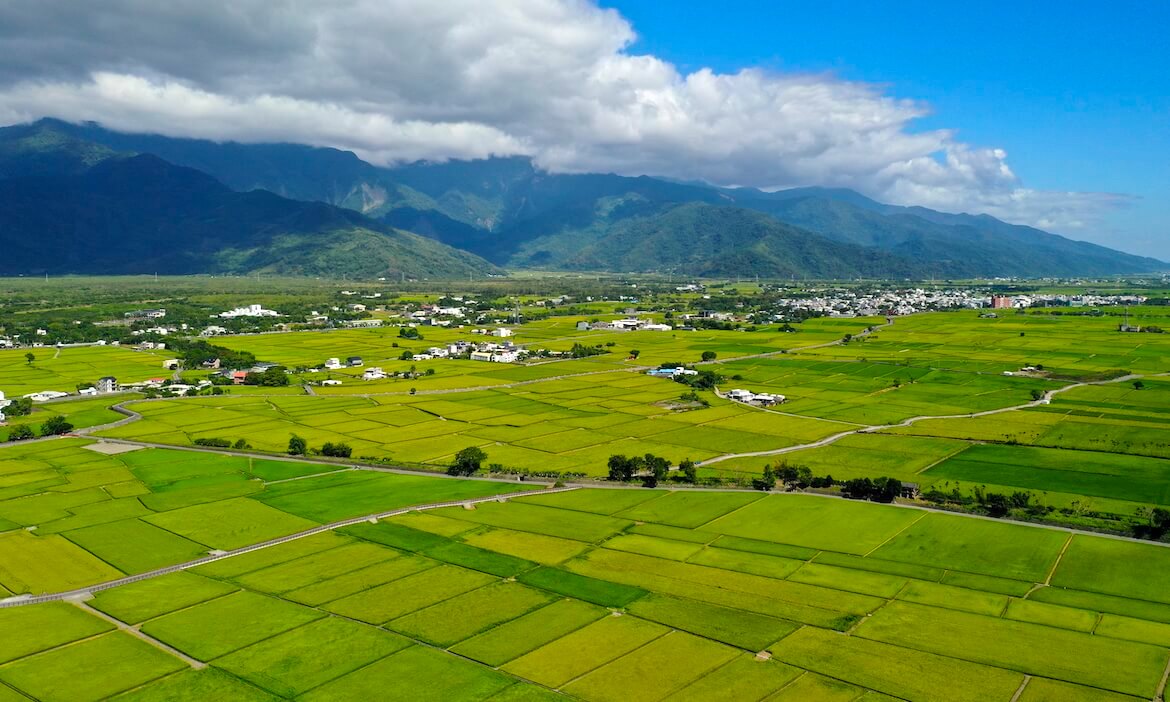 秋季療癒系，精選全台8個觀浪點，欣賞最美金色秋收稻浪