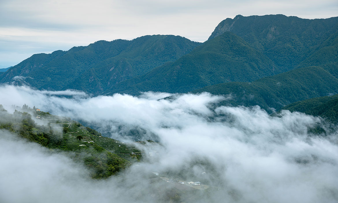 台中梨山溫帶水果王國，仰望漫天星斗 探訪雲深不知處的山中歲月