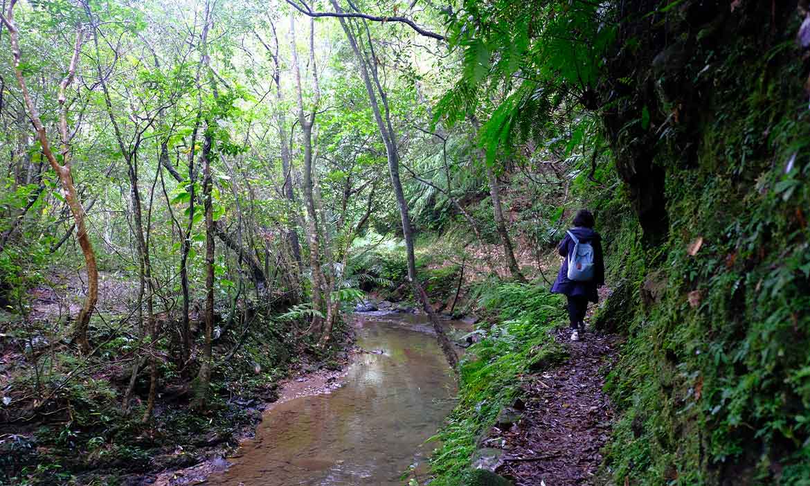 到山中「小宇宙」療癒身心，千里步道手作串聯，啟動共好守護山村聚落