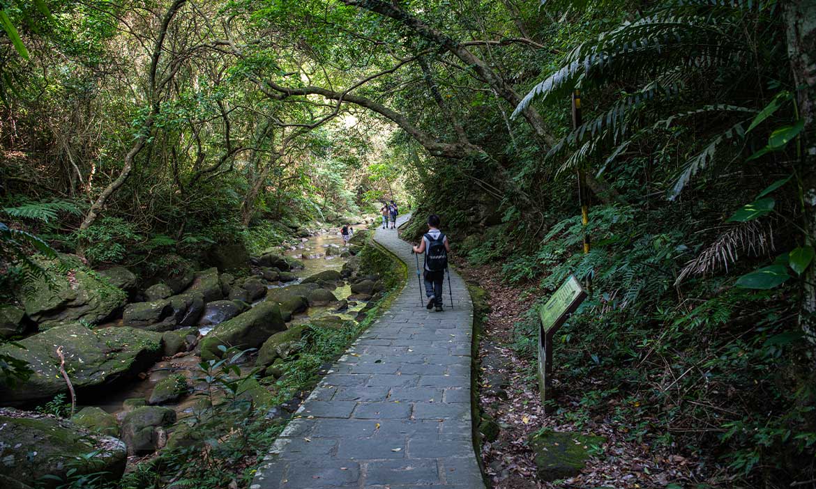 台北大縱走第四段 風櫃嘴至大湖公園完整路線規劃，伴溪而行、順遊都市草莓產地