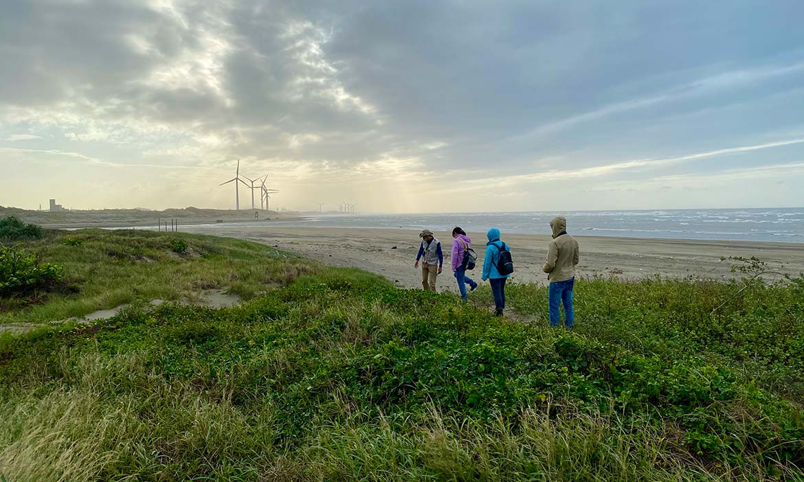 桃園守護海洋動起來 濕地、農場、教育園區邊玩邊學