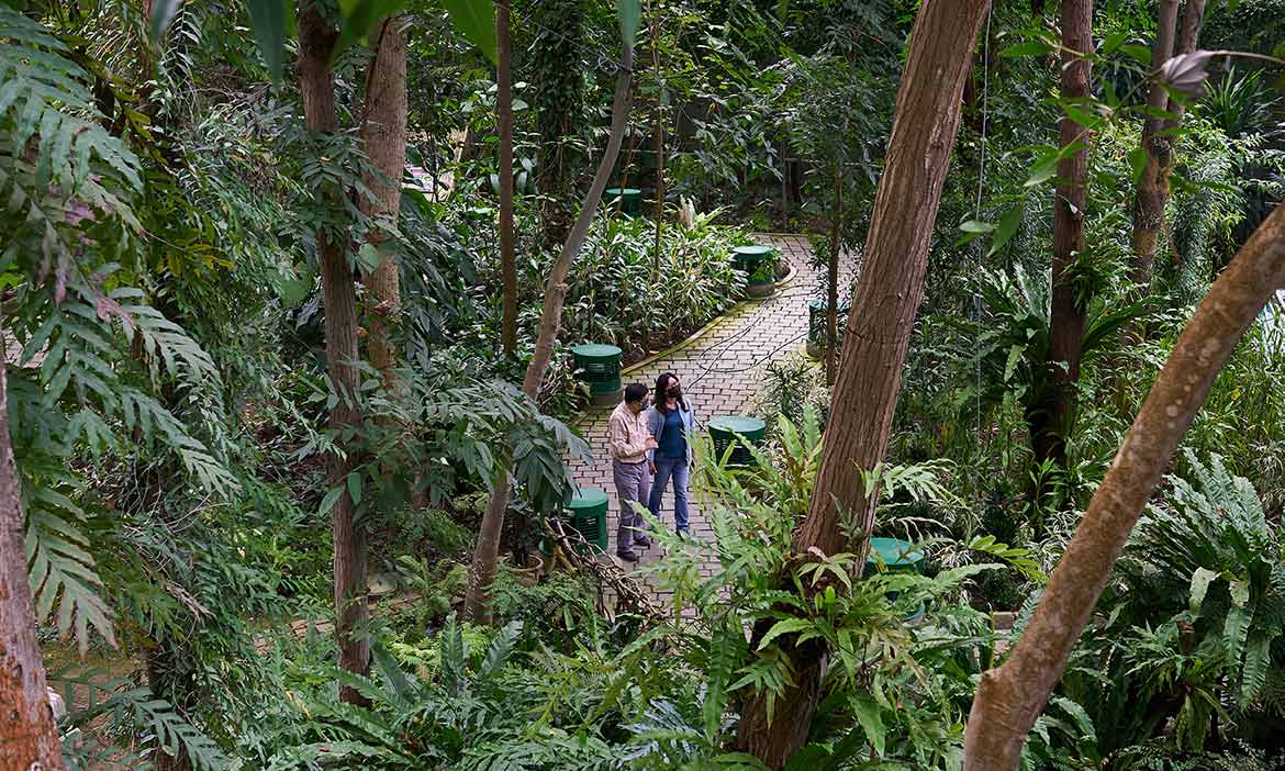 台中生態綠築城市走讀 訪珍稀動植物、看永續設計