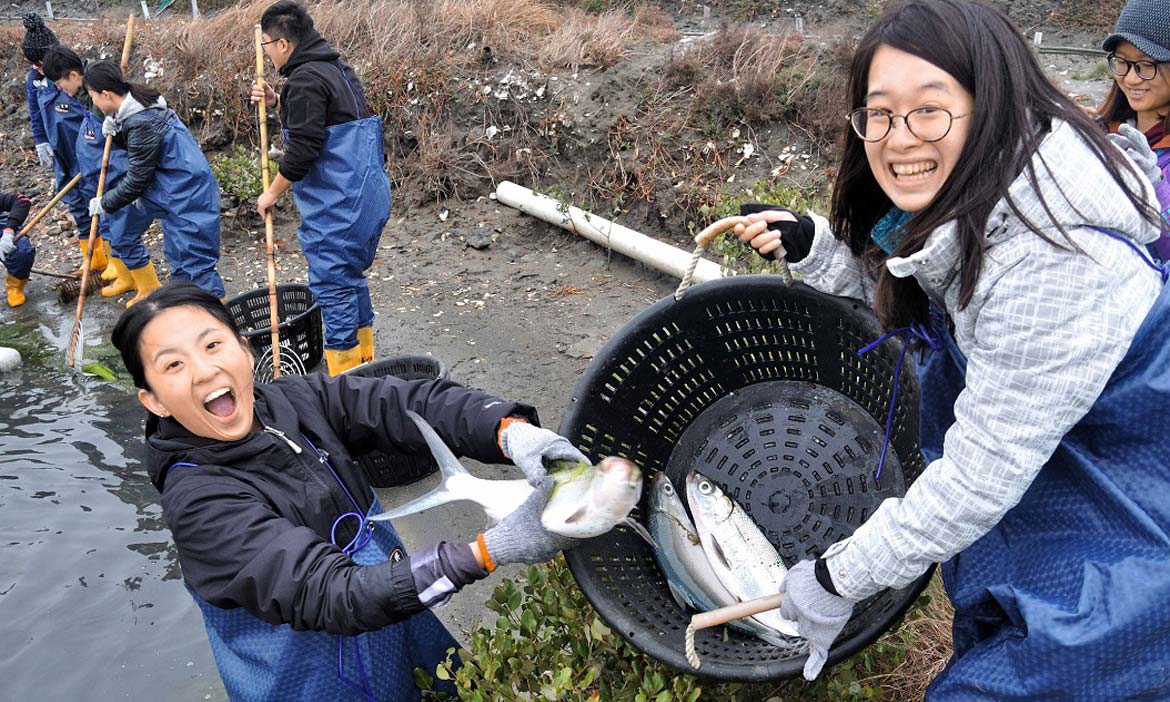 從好好吃魚開始懂魚，深刻體驗台南七股「股份魚鄉」養殖漁業的第一線視角