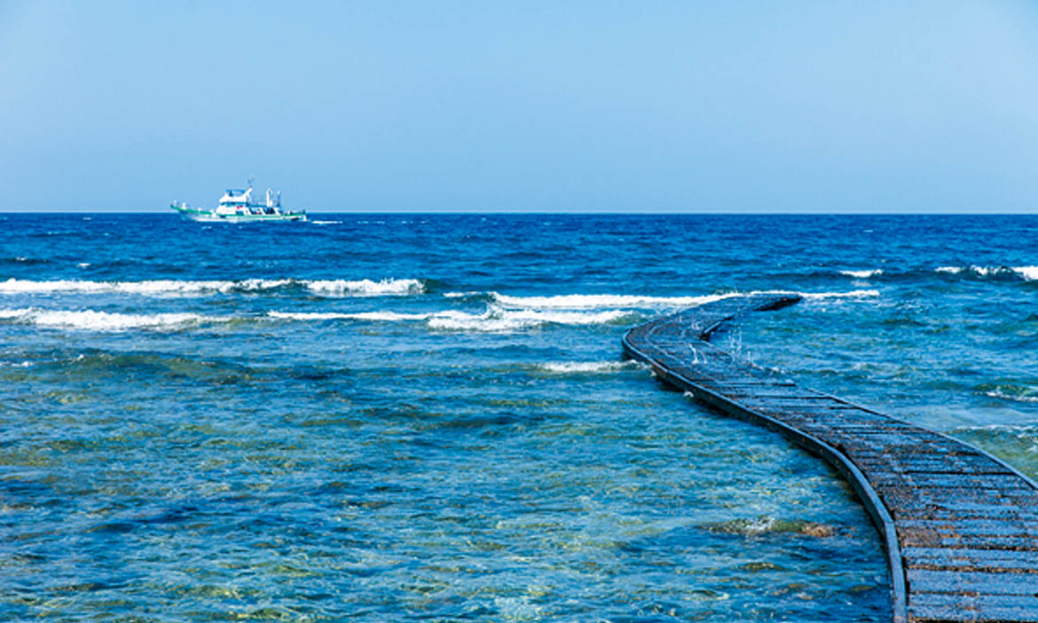 綠島潛水打魚傳承者，「海底獵人」與魚為友，道出與自然和平共處的討海哲學