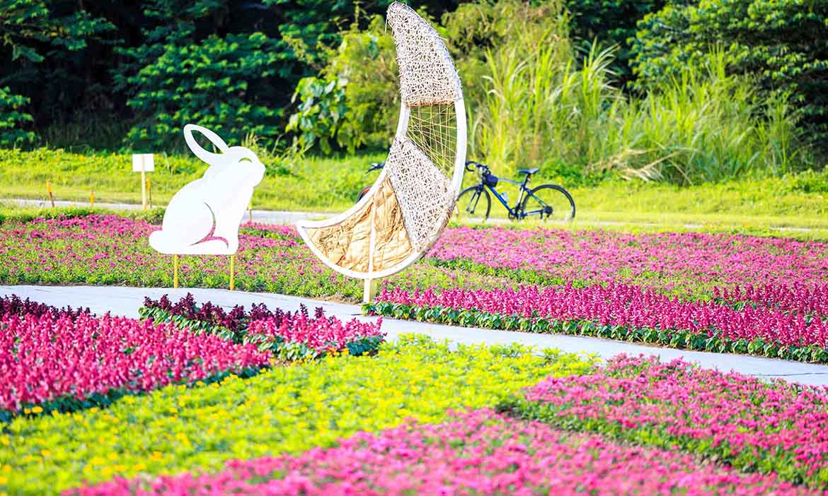 台北古亭河濱小旅行｜浪漫花海與光之隧道，白天賞花晚上賞燈