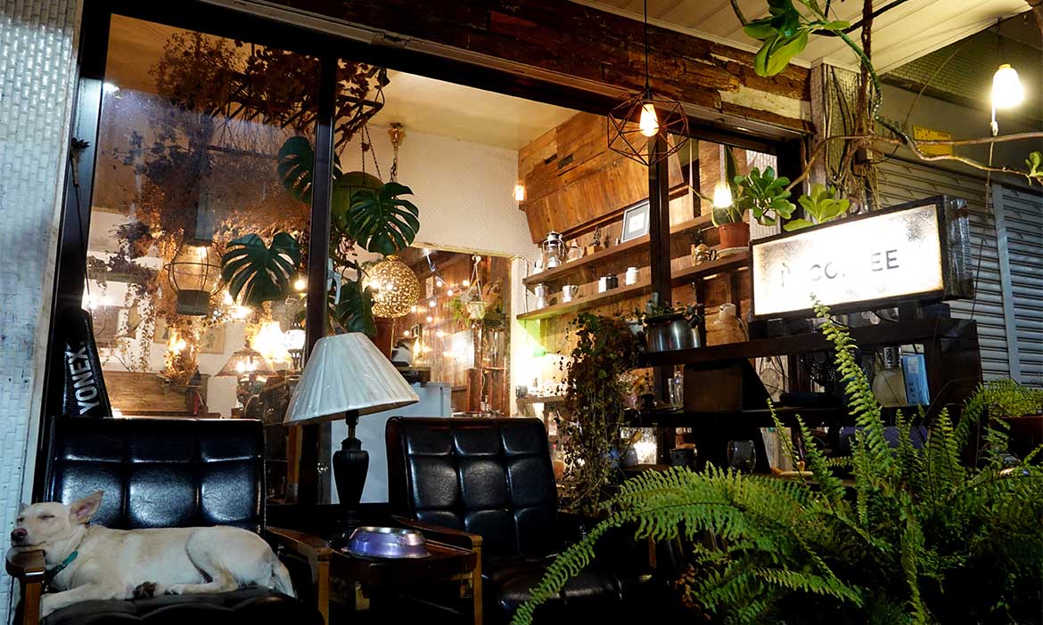 多停留一晚的嘉義深夜提案，精選3+間夜訪店家，穿梭巷弄享受專屬靜謐時光