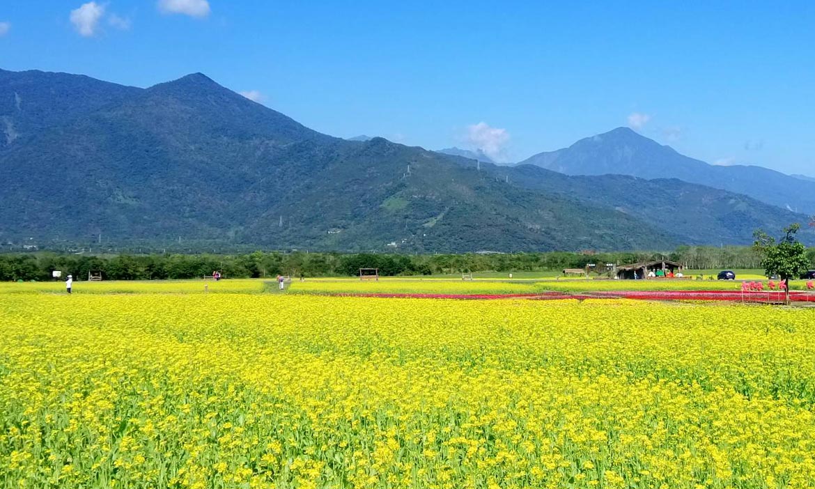 生肖也有專屬景點？兔年轉運出遊，全台國家森林遊樂區春節攻略