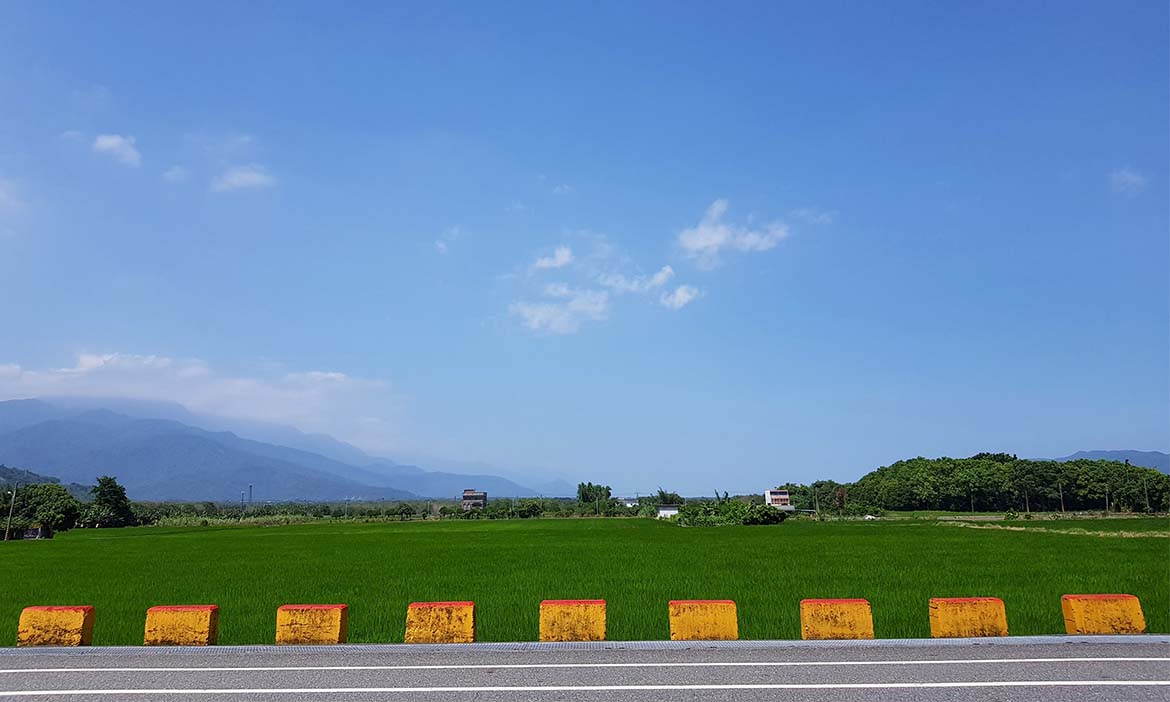 花蓮鳳林慢城晃遊，遇見菸樓、秘食與美樹大道，來場療癒的縱谷之旅