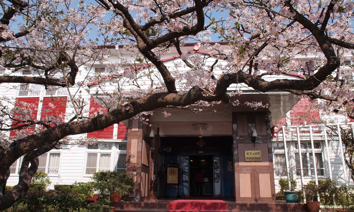 住宿推薦｜置身粉紅美景中，嘉義、南投、苗栗、台中 精選賞櫻旅宿與景點
