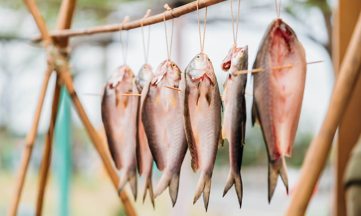 精選10款獨特產地體驗，焙龍眼、手作豆腐、午仔魚一夜干，DIY自己的旅遊伴手禮