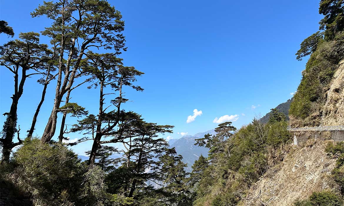 南橫公路沿途停駐點｜從梅山口到向陽國家森林遊樂區，走訪中之關古道與山巒相伴