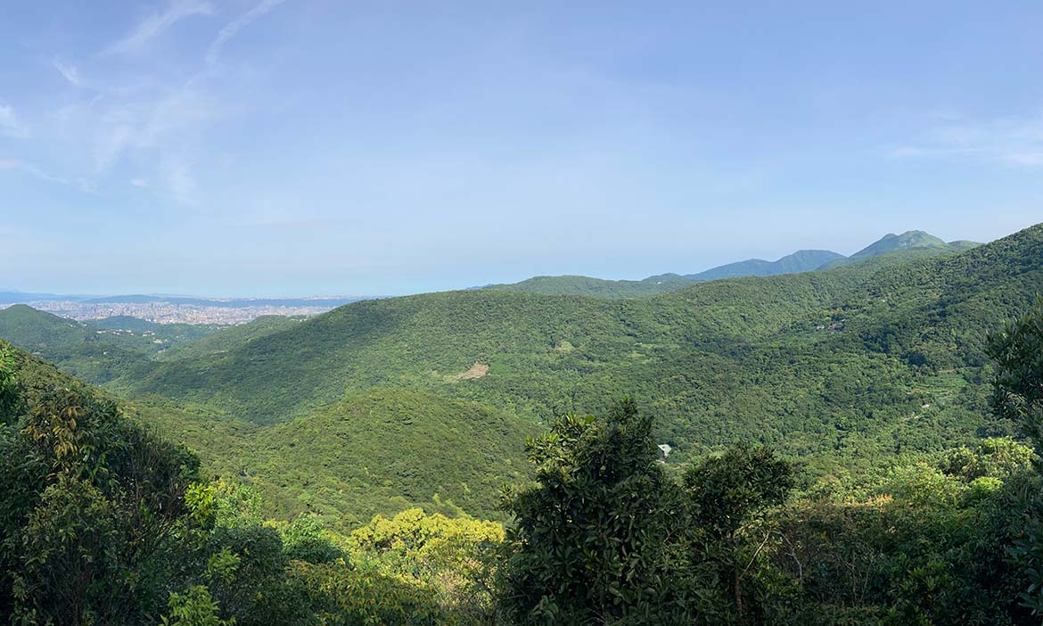 縱走穿越「裡台北」，上雙溪溝古道、下白石湖草莓產地，感受城市的幽靜