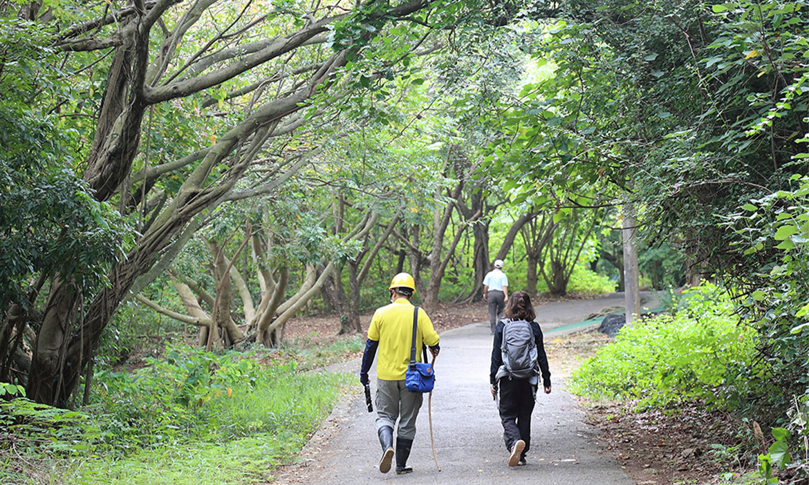 走訪高雄林園，漫步後山森林、到「龍蟠洞」探險，秘密坑道裡聽歷史故事
