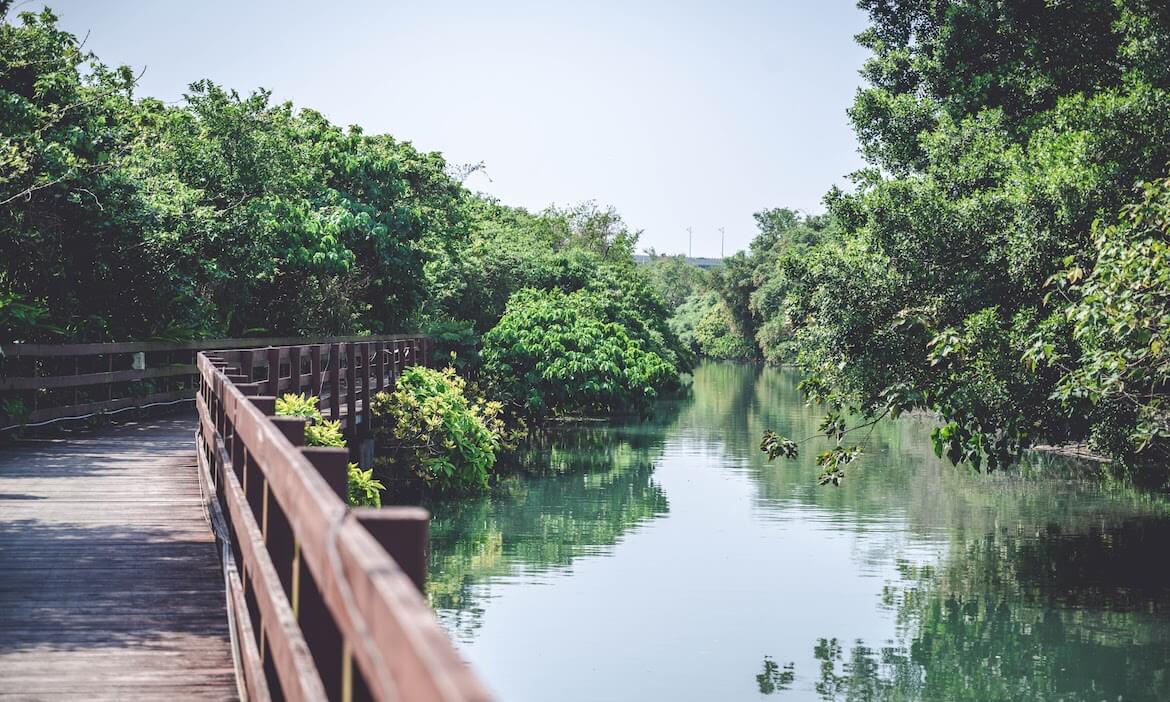 藏匿台北的一抹綠意，漫步北投舊雙溪河步道，靜靜感受碧綠河畔與無垠稻田