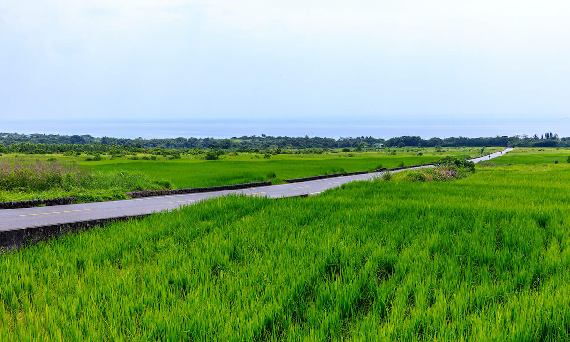 創生見學旅行｜從花蓮豐田到台東大鳥，沿著台11線縱橫花東沿岸，啟程海線文化之旅