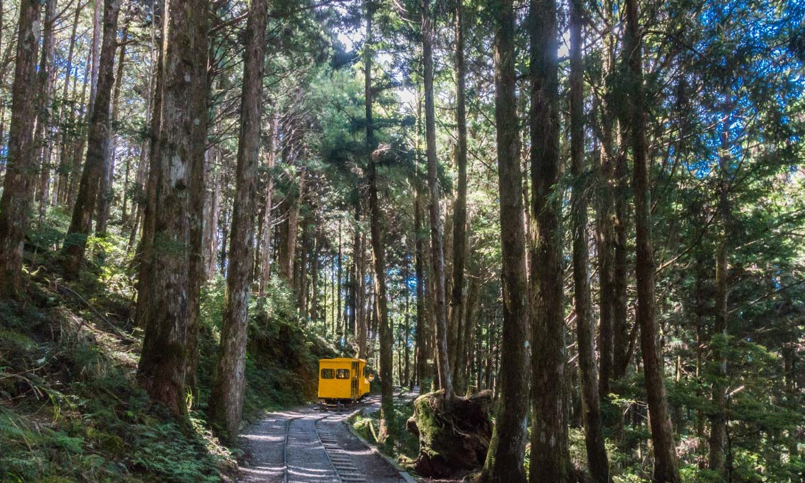 悠遊宜蘭太平山蹦蹦車鐵道，沐浴森山蓊鬱翠綠間，感受一代林業風華歷史