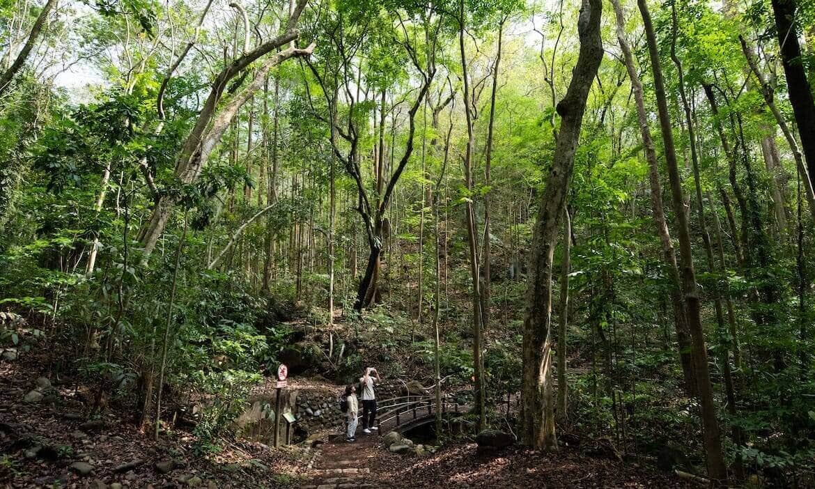 創生見學旅行｜到高雄旗山、美濃補修農村學分，香蕉王國、生態樂園裡有守護土地的用心