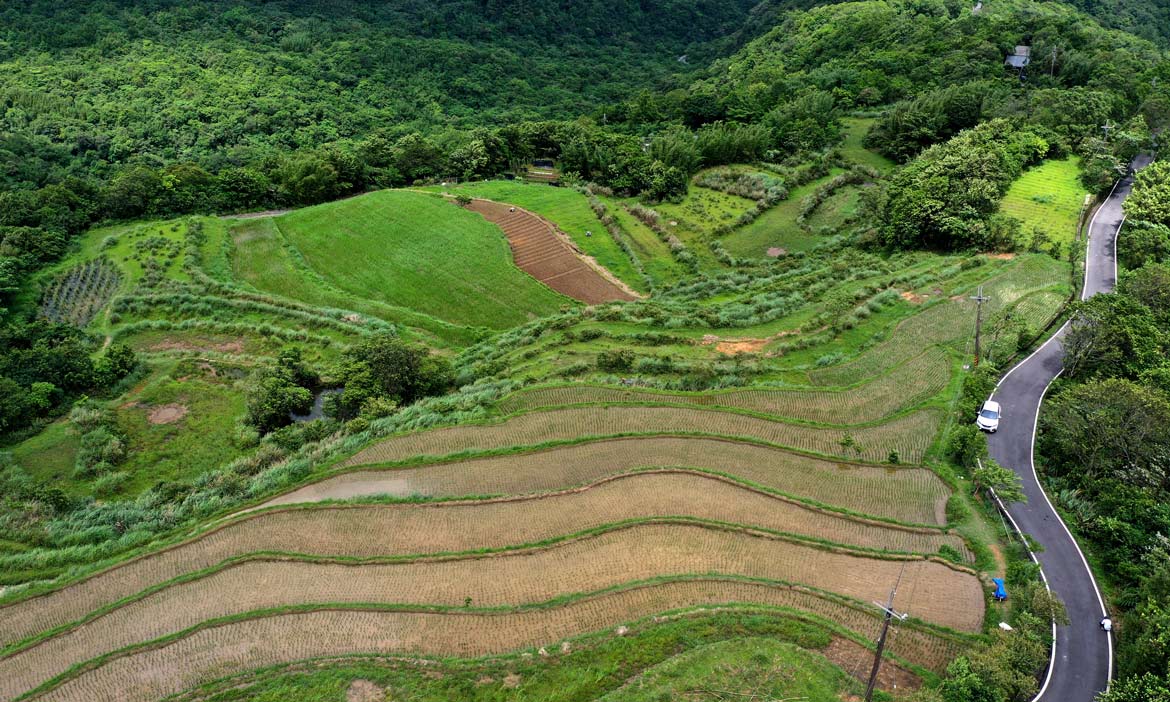 創生見學旅行｜在新北貢寮山區遇見古法農耕，順遊蒐集雙溪的在地好滋味與獨特生態旅程