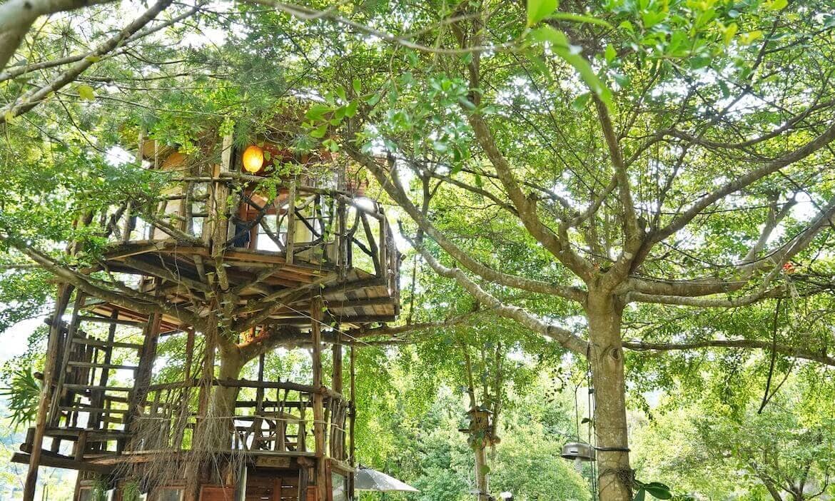 南投埔里三層樹屋「嫁婆咖啡館」，森林系童話故事場景，是一份給家人圓夢的禮物