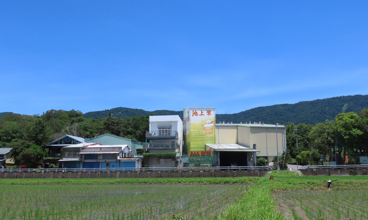 台東池上陳協和碾米工廠 在海岸山脈的山腳下，一粒米串起三代人