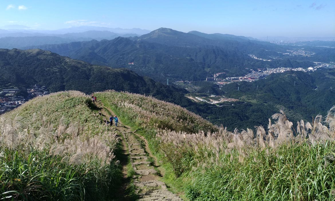 從基隆山步道、不厭亭到報時山步道，沉浸在芒草翻飛九份山城的銀白色浪漫