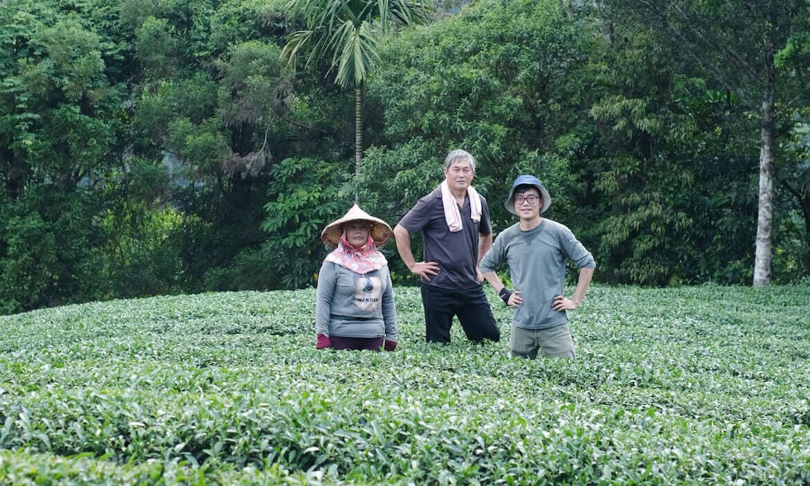 從社畜變農畜的百轉人生，新北坪林茶青的回家路，追尋茶葉和家鄉的美好藍圖