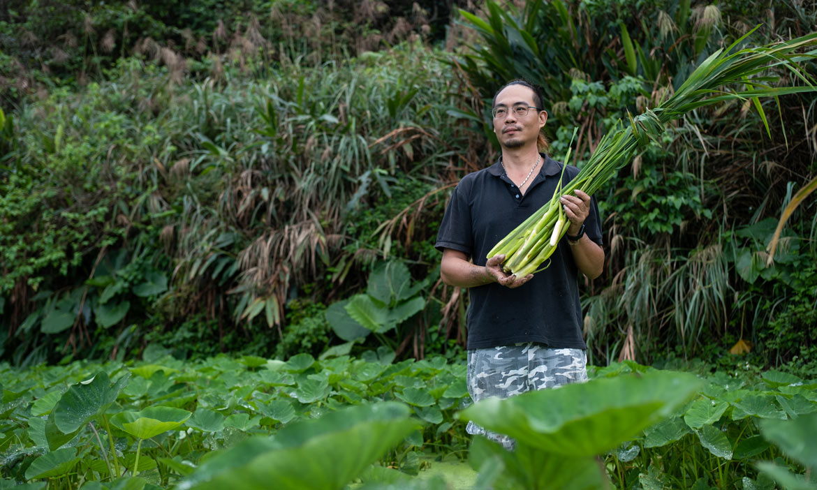 在金山海景第一排種香草，寧靜海香草園發掘農療癒的無限可能