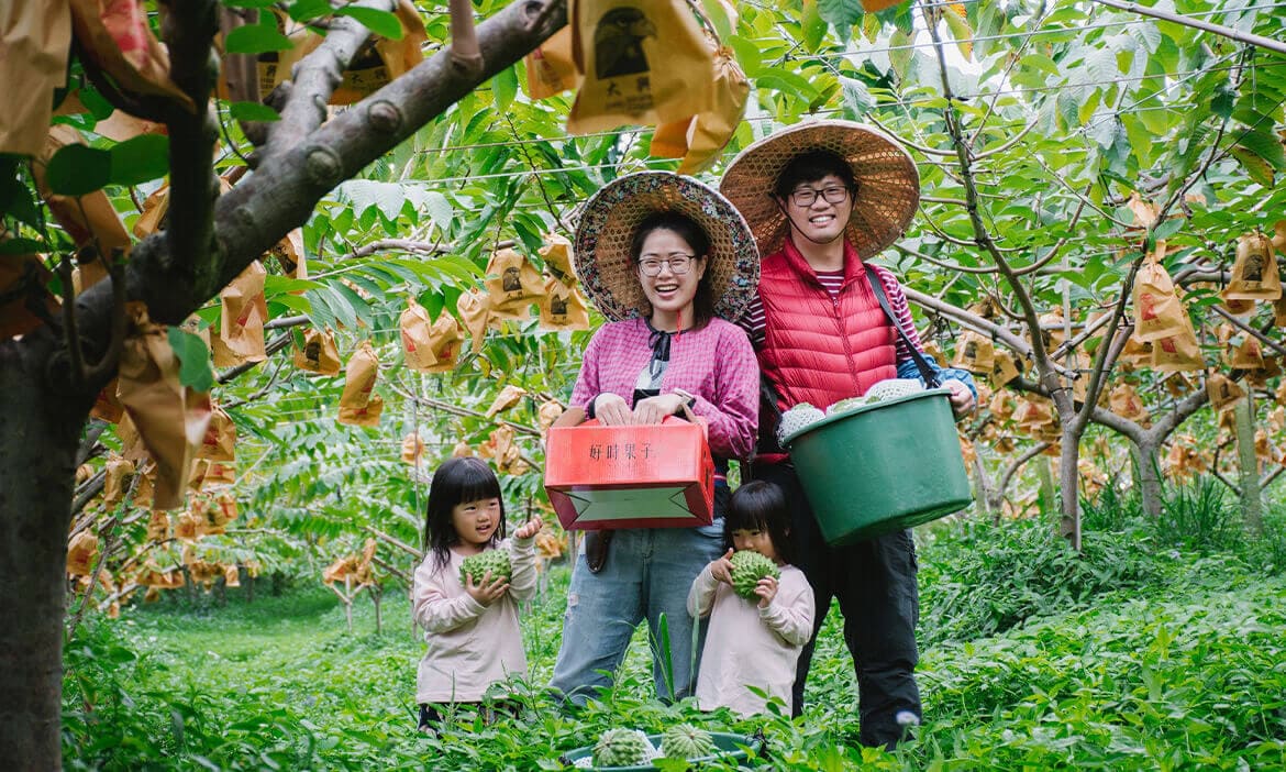蒐集南迴限定的風景，乘著藍皮解憂號優遊農村，體驗屏東與台東的田園魅力